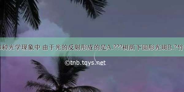 如图所示 四种光学现象中 由于光的反射形成的是A.???树荫下圆形光斑B.?竹在水中的倒