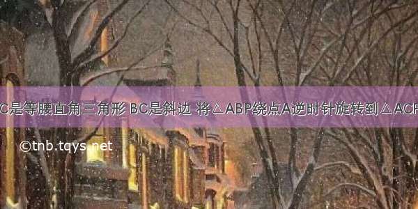 如图 △ABC是等腰直角三角形 BC是斜边 将△ABP绕点A逆时针旋转到△ACP′的位置 如