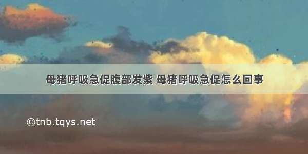 母猪呼吸急促腹部发紫 母猪呼吸急促怎么回事