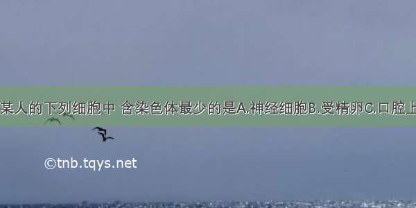 单选题某人的下列细胞中 含染色体最少的是A.神经细胞B.受精卵C.口腔上皮细胞