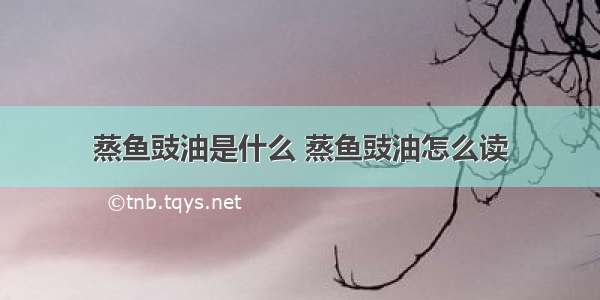 蒸鱼豉油是什么 蒸鱼豉油怎么读