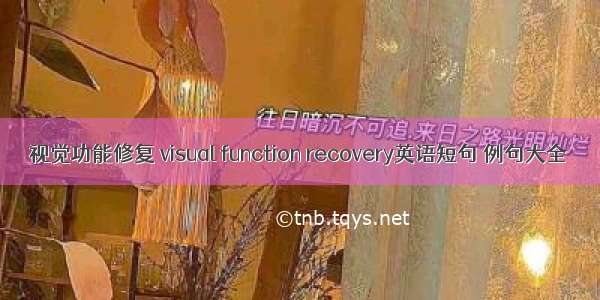 视觉功能修复 visual function recovery英语短句 例句大全