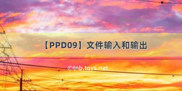 【PPD09】文件输入和输出