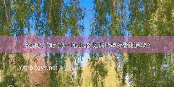 Redis学习之旅--Redis的数据类型你都知道吗？