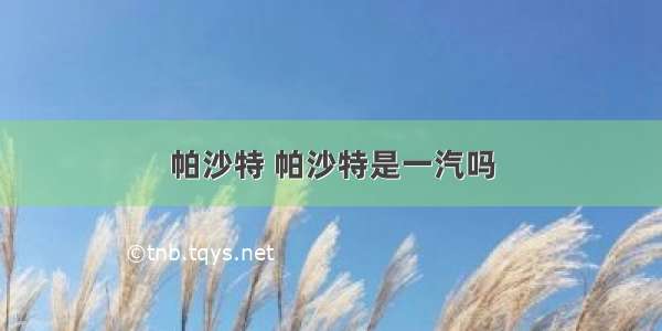 帕沙特 帕沙特是一汽吗