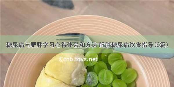 糖尿病与肥胖学习心得体会和方法 肥胖糖尿病饮食指导(6篇)