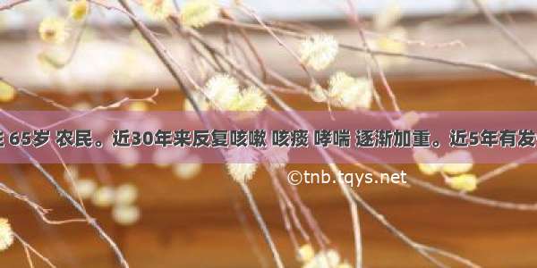 病人男性 65岁 农民。近30年来反复咳嗽 咳痰 哮喘 逐渐加重。近5年有发作性胸骨