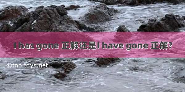 I has gone 正解还是I have gone 正解?