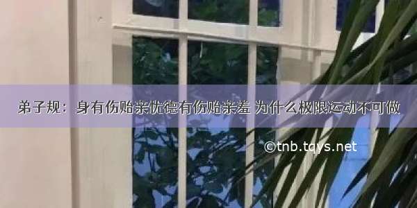 弟子规：身有伤贻亲忧德有伤贻亲羞 为什么极限运动不可做