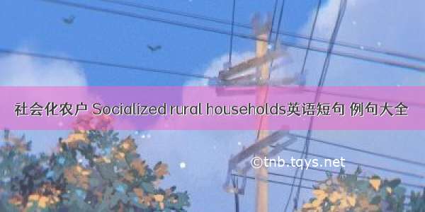 社会化农户 Socialized rural households英语短句 例句大全