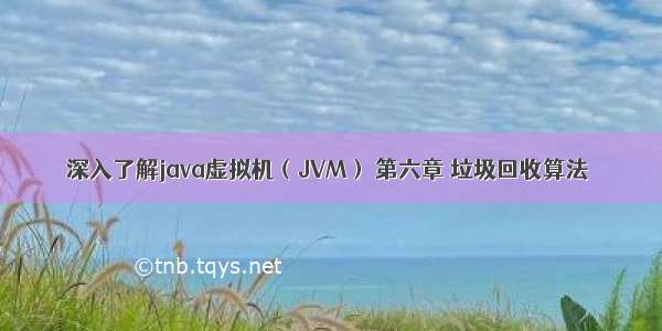 深入了解java虚拟机（JVM） 第六章 垃圾回收算法