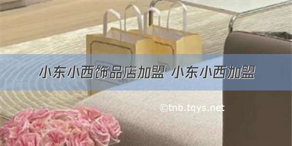 小东小西饰品店加盟 小东小西加盟