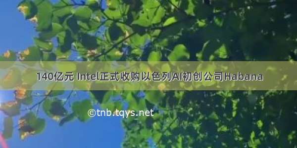 140亿元 Intel正式收购以色列AI初创公司Habana