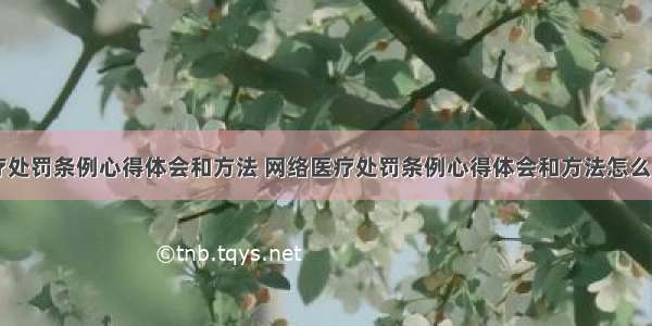 网络医疗处罚条例心得体会和方法 网络医疗处罚条例心得体会和方法怎么写(五篇)