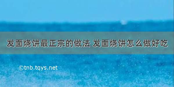 发面烧饼最正宗的做法 发面烧饼怎么做好吃