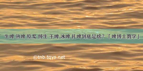 生啤 熟啤 原浆 纯生 干啤 冰啤 扎啤到底是啥？「啤博士教学」