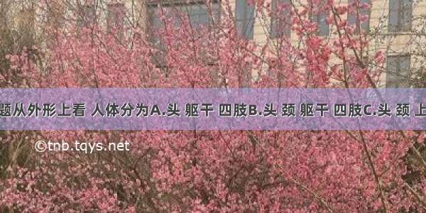 单选题从外形上看 人体分为A.头 躯干 四肢B.头 颈 躯干 四肢C.头 颈 上肢 下