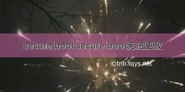 secure boot secure boot无法更改