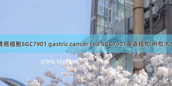 胃癌细胞SGC7901 gastric cancer cell SGC7901英语短句 例句大全