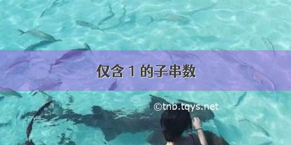 仅含 1 的子串数