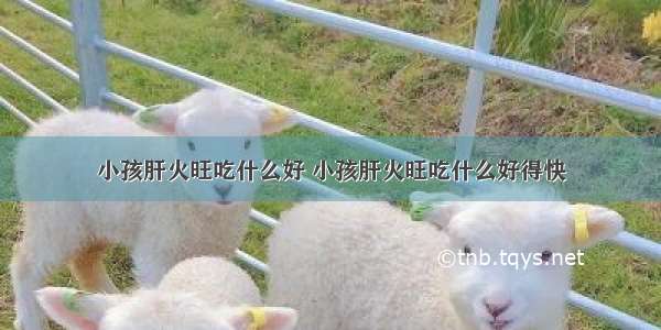 小孩肝火旺吃什么好 小孩肝火旺吃什么好得快