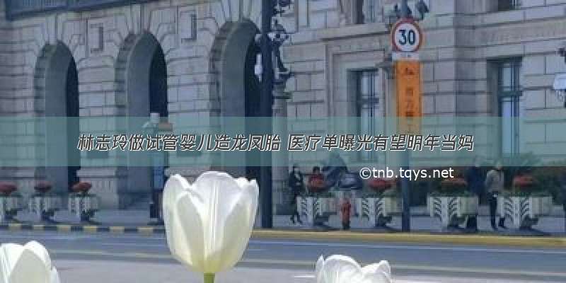 林志玲做试管婴儿造龙凤胎 医疗单曝光有望明年当妈