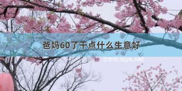 爸妈60了干点什么生意好