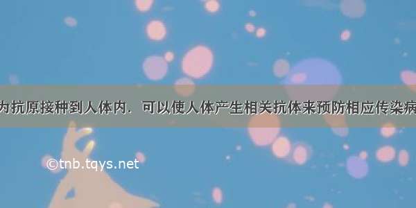 利用疫苗作为抗原接种到人体内．可以使人体产生相关抗体来预防相应传染病 例如刚出生