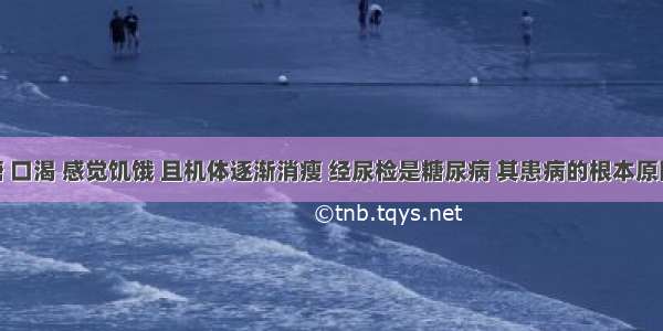 某人尿糖 口渴 感觉饥饿 且机体逐渐消瘦 经尿检是糖尿病 其患病的根本原因是A.吃