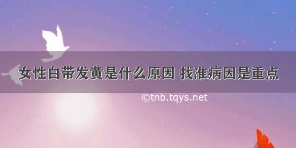 女性白带发黄是什么原因 找准病因是重点