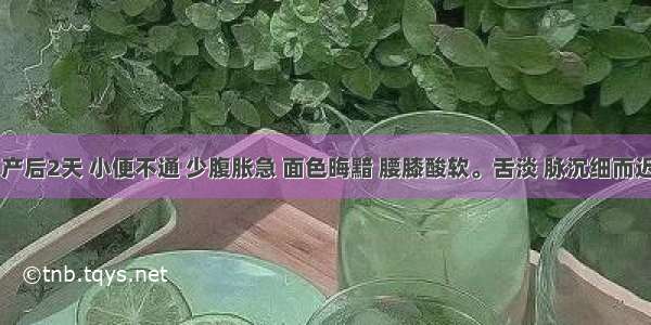 女患者 产后2天 小便不通 少腹胀急 面色晦黯 腰膝酸软。舌淡 脉沉细而迟。应选