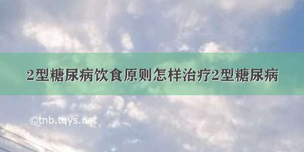 2型糖尿病饮食原则怎样治疗2型糖尿病