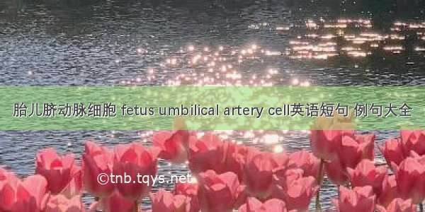 胎儿脐动脉细胞 fetus umbilical artery cell英语短句 例句大全