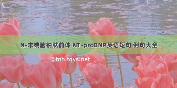 N-末端脑钠肽前体 NT-proBNP英语短句 例句大全