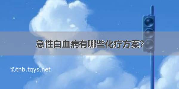 急性白血病有哪些化疗方案？