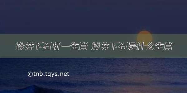 投井下石打一生肖 投井下石是什么生肖