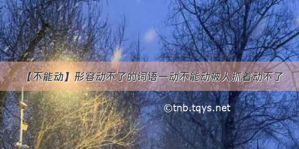 【不能动】形容动不了的词语一动不能动被人抓着动不了