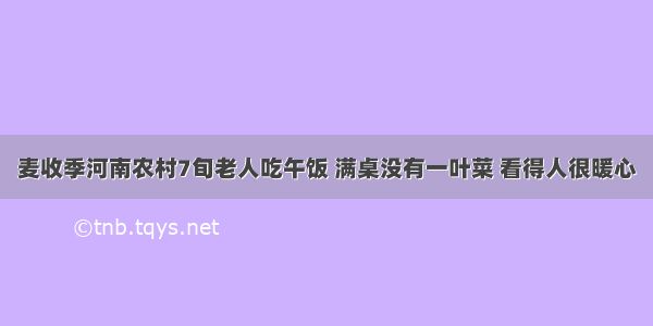 麦收季河南农村7旬老人吃午饭 满桌没有一叶菜 看得人很暖心