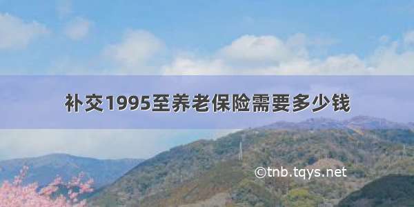 补交1995至养老保险需要多少钱