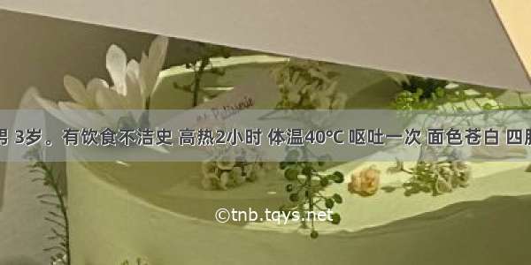 患儿 男 3岁。有饮食不洁史 高热2小时 体温40℃ 呕吐一次 面色苍白 四肢冰冷 