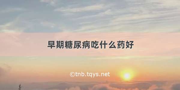 早期糖尿病吃什么药好