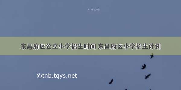 东昌府区公立小学招生时间 东昌府区小学招生计划