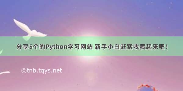 分享5个的Python学习网站 新手小白赶紧收藏起来吧！