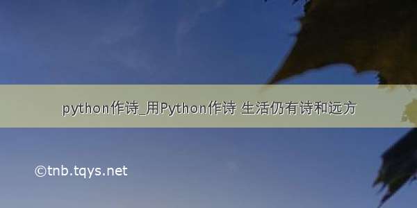 python作诗_用Python作诗 生活仍有诗和远方