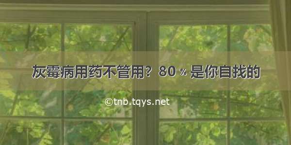 灰霉病用药不管用？80﹪是你自找的