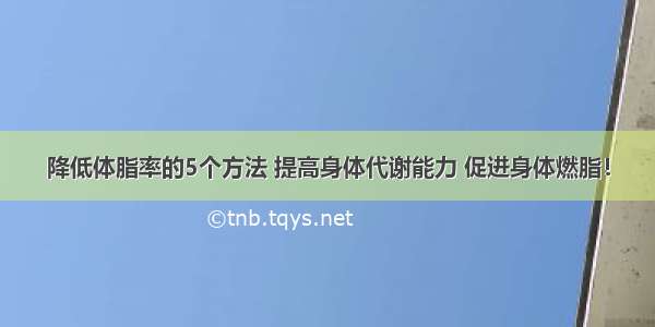 降低体脂率的5个方法 提高身体代谢能力 促进身体燃脂！