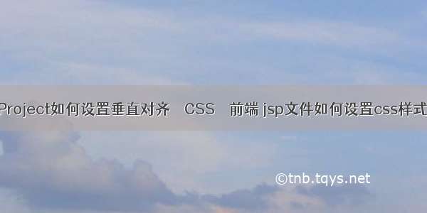 Project如何设置垂直对齐 – CSS – 前端 jsp文件如何设置css样式