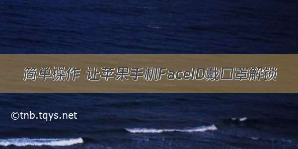 简单操作 让苹果手机FaceID戴口罩解锁