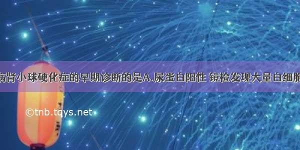 有助于糖尿病肾小球硬化症的早期诊断的是A.尿蛋白阳性 镜检发现大量白细胞和管型B.尿