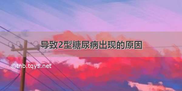 导致2型糖尿病出现的原因